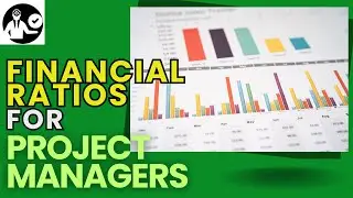 Financial Ratios for Project Managers | Project Management Tutorial @projectometric