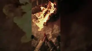 Спокойной ночи 🌙