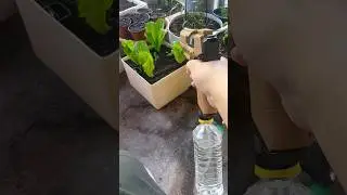 Glued Bottle Magazine For Elecric Water Gun.