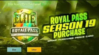 HOW TO PURCHASE ROYAL PASS SEASON 19 | GET GROUP PURCHASE PERKS CARD SEASON 19 | UPGRADE SEASON 19