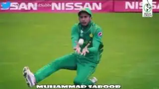 Stand up             Stand up              For the champions .