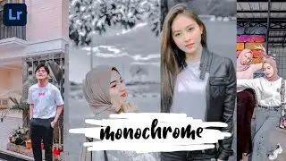 Tutorial Edit Foto Monochrome Preset ala selebgram| Lightroom Mobile