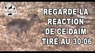 Regarde la réaction de ce daim tiré au cal. 30-06 !