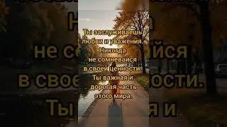 ВОЛШЕБНИК КАЖДЫЙ ДЕНЬ
