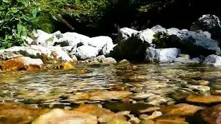 Sound of flowing water, relaxing and sweet - Magical atmosphere of nature, to sleep - ASMR