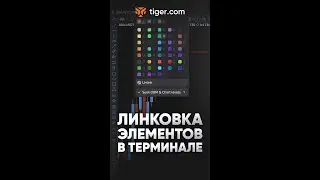 Линковка в терминале Tiger.com