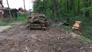 pieniążki, przerażajace pieniążki