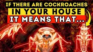 Discover the Spiritual Meaning of Cockroaches in Your Home. It's Amazing! 🪳🏠