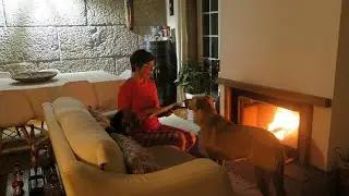 COMO GANHO DINHEIRO NO CAMPO-IDEIAS PARA GERAR RENDA!