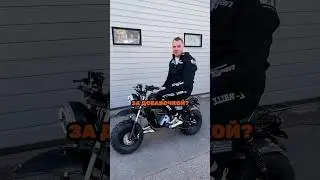 Можно ли ездить на электро пьяным? 🥳 