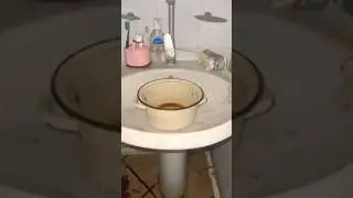 так живут люди, или кошки?