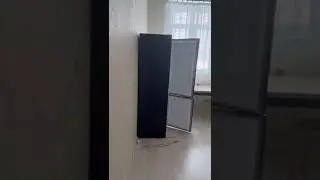 26 апреля 2024 г.