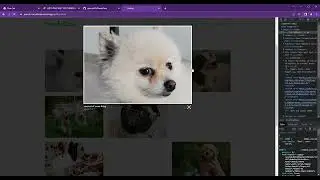 Demo landing page PoochCare