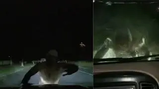 Most Disturbing Things Caught on Dash Cam Footage