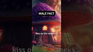 Things boys secretly want but won’t ask for… #shorts #psychology #psychologyfacts #malefacts