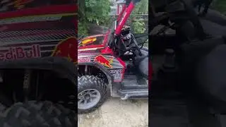 Красный наш зеленый общий 🚦