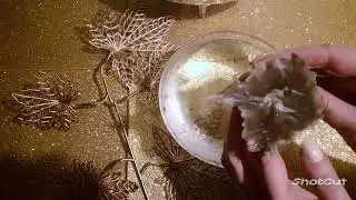 🎄С НОВЫМ ГОДОМ!!! Январь!🎉
