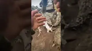 🔴 Ukraine war- Soldier fires RPG #shorts #russiainvadedukraine #ukraine #army #stoprussia