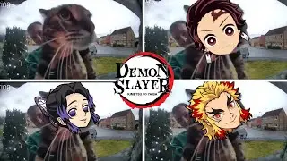 Demon Slayer - CAT MEMES