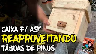 Fiz uma CAIXA para abelha jataí, REUTILIZANDO tábuas de PINUS | Doce Tapera