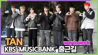 티에이엔(TAN), 봄비와 어울리는 야생돌 (KBS 'MUSICBANK' 출근길)