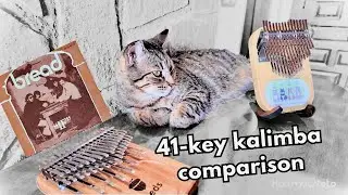 41-Key Kalimba Comparison: Chill Angels vs Seeds | 