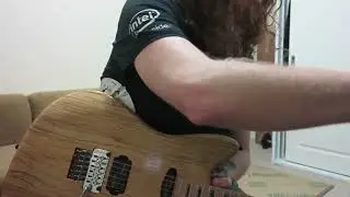 Jazzmaster Floyd Rose Warmoth