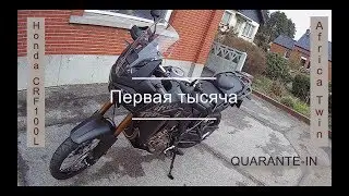 Обзор Honda Africa Twin CRF1000 2019, первая тысяча