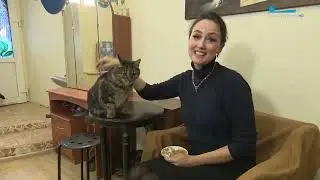 Фёдор, сорвавший овации  полосатый талисман Театра Дождей  Канал «Санкт-Петербург»