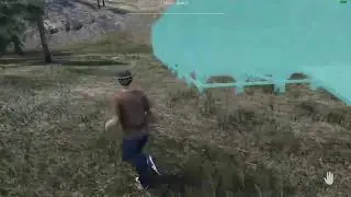 Ranch Simulator