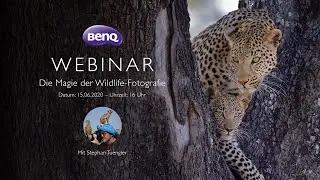BenQ Webinar: Die Magie der Wildlife-Fotografie (German)