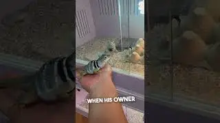 First Time He Ever Saw a Female 😂