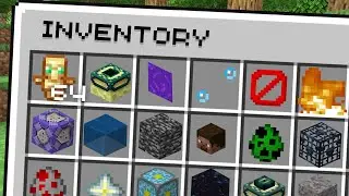 I Collected Every Illegal Item In Minecraft Hardcore