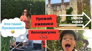 Замок HEVER ( Хивер)/ Поддержка государства/Велопрогулка/Урожай ежевики/Кто такой Лукашенко?:)