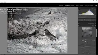 Fotokurskalmar - Amatörbild redigerad i Adobe Lightroom
