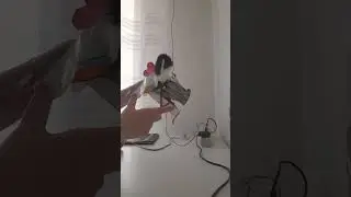 чисто фраза Данкара =]