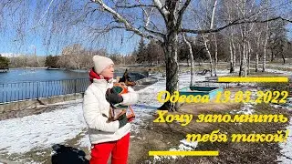 Мирного неба!