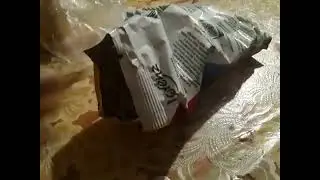 Komputersem ест наструганную картошку