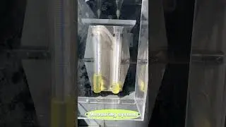 Diesel Injector Calibrator common rail test bench