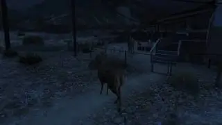 elk rampage