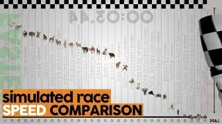 Fastest vs Slowest Animals vs Usain Bolt - Speed Comparison