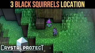 3 Black Squirrels & Squirrel Dung | Crystal Project
