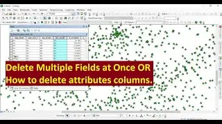 How to Delete Multiple Fields at once ||  how to delete attributes columns