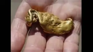 Видео из архива. Старателя чуть не съели огромные Медведи