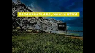 Unveiling the Lost Secrets of Abhaya Wewa: History Rewritten in Anuradhapura