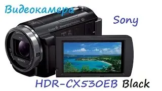 Handycam HDR CX530E Camcorder
