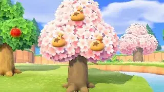 How To Get A Money Tree In Animal Crossing New Horizons