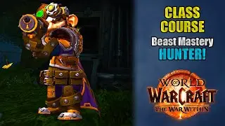 Class Course: A BEAST MASTERY HUNTER Rotation Guide for Beginners! | The War Within
