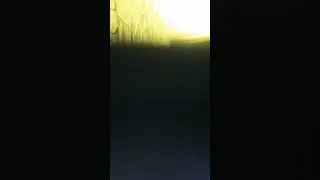 9 мая 2024 г.