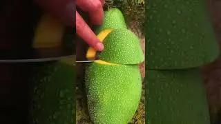 Green mango, very fresh fruit❤ fruit video🔥Fruit Unzip Video#fruits